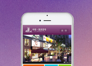 中恒控股置业有限公司--中科讯达