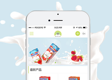 广州市石头果贸易有限公司--中科讯达