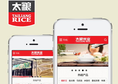 东莞市太粮米业有限公司--中科讯达