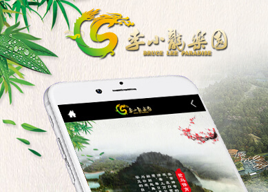 李小龙乐园 --中科讯达
