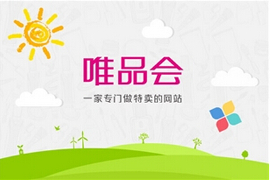 唯品会网站建设项目--中科讯达